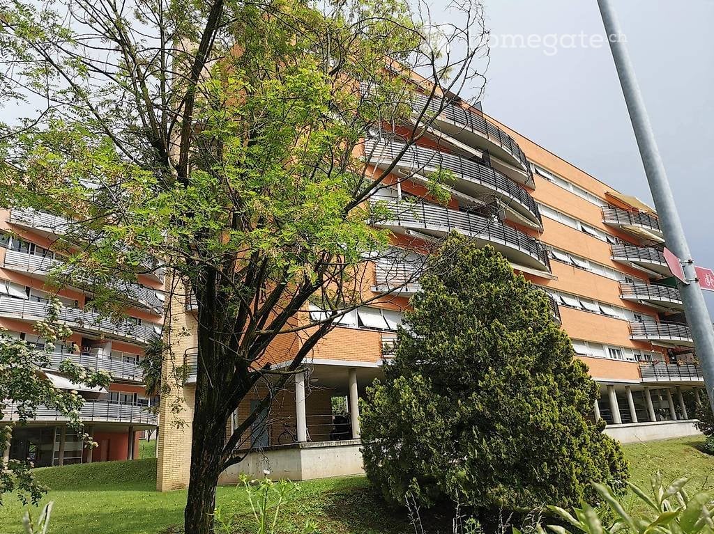 3 ½ Zimmer Wohnung