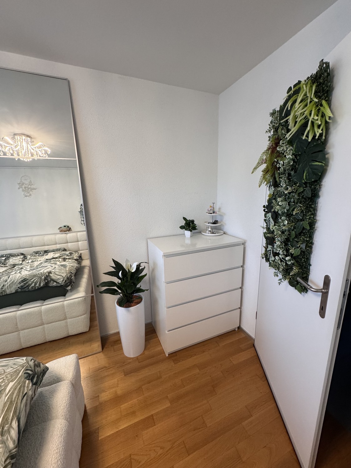 Room in a shared flat