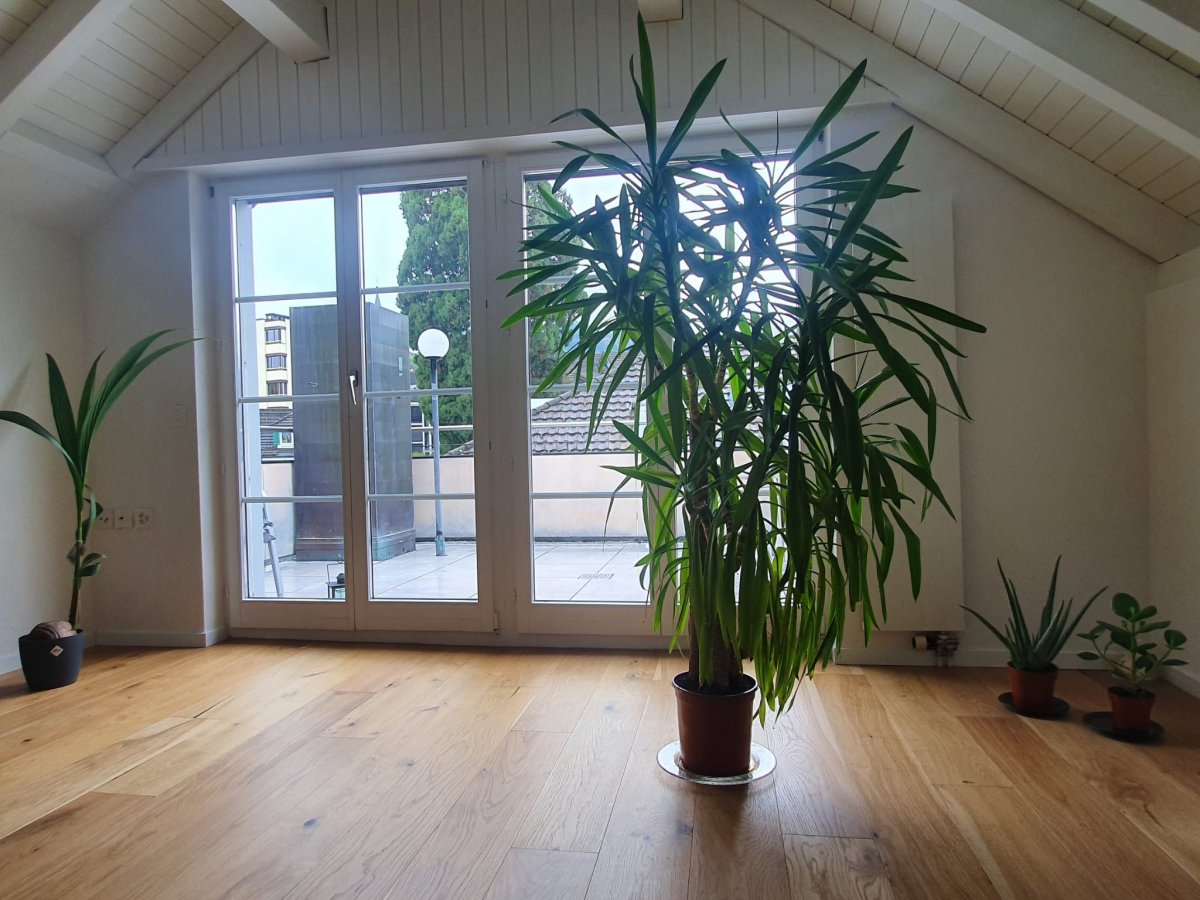 2 ½ rooms roof flat