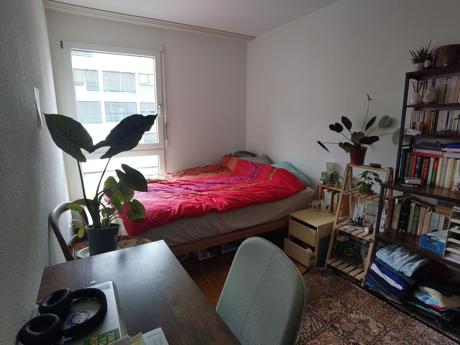 Room in a shared flat, photo 3 of 6