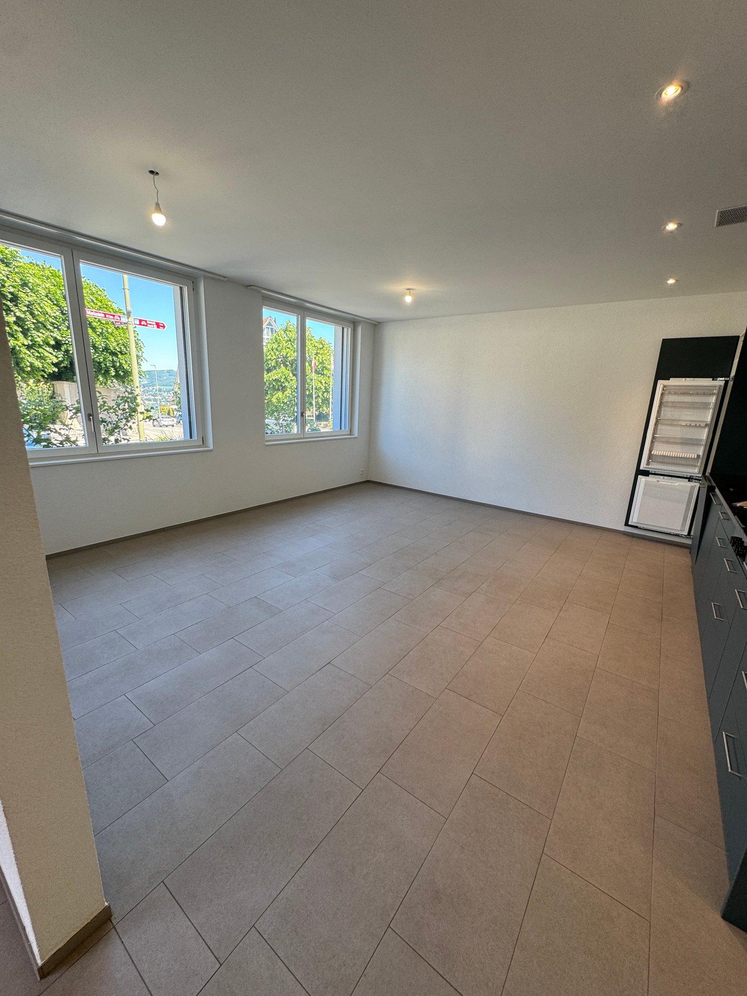 2 ½ rooms apartment