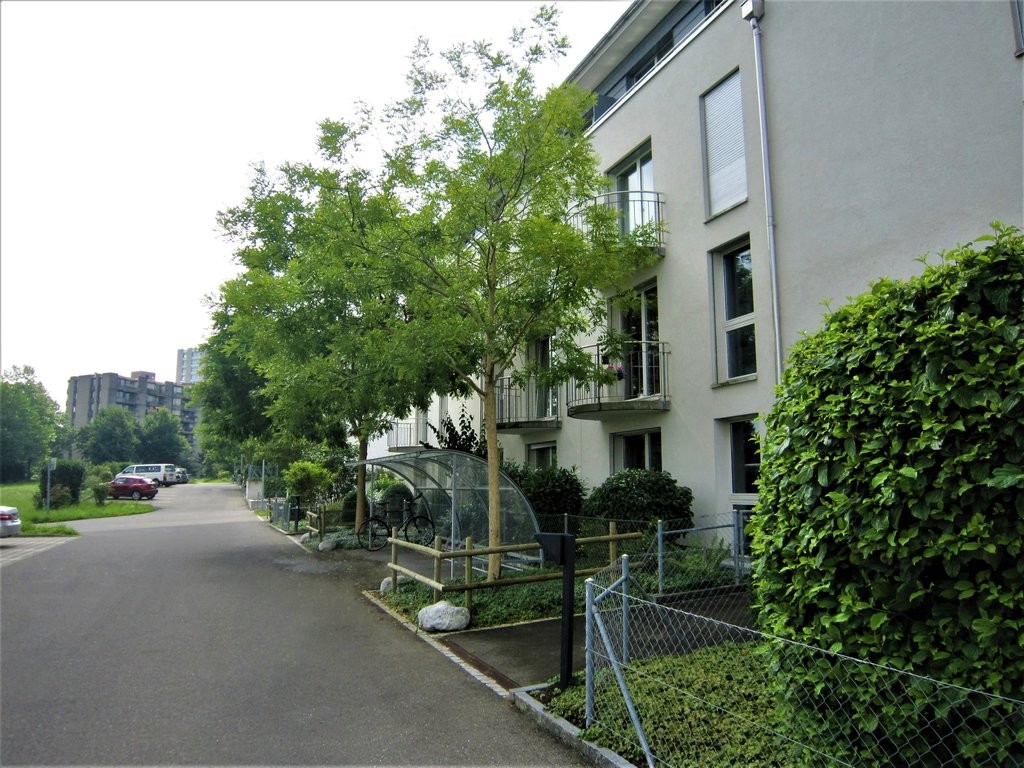 3 ½ rooms apartment, photo 1 of 9