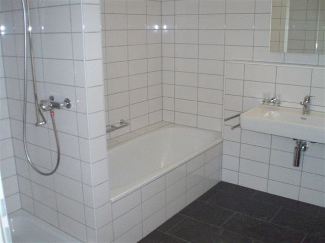 Appartement 3 ½ pièces