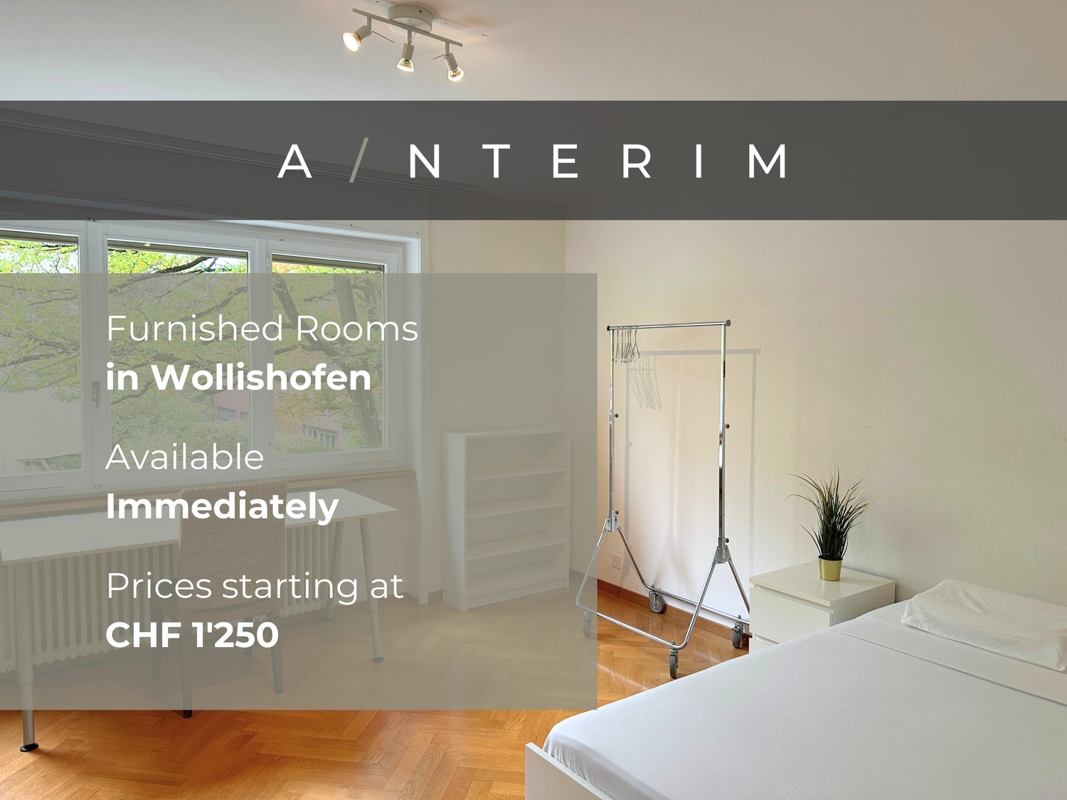 Chambre dans un appartement partagé
