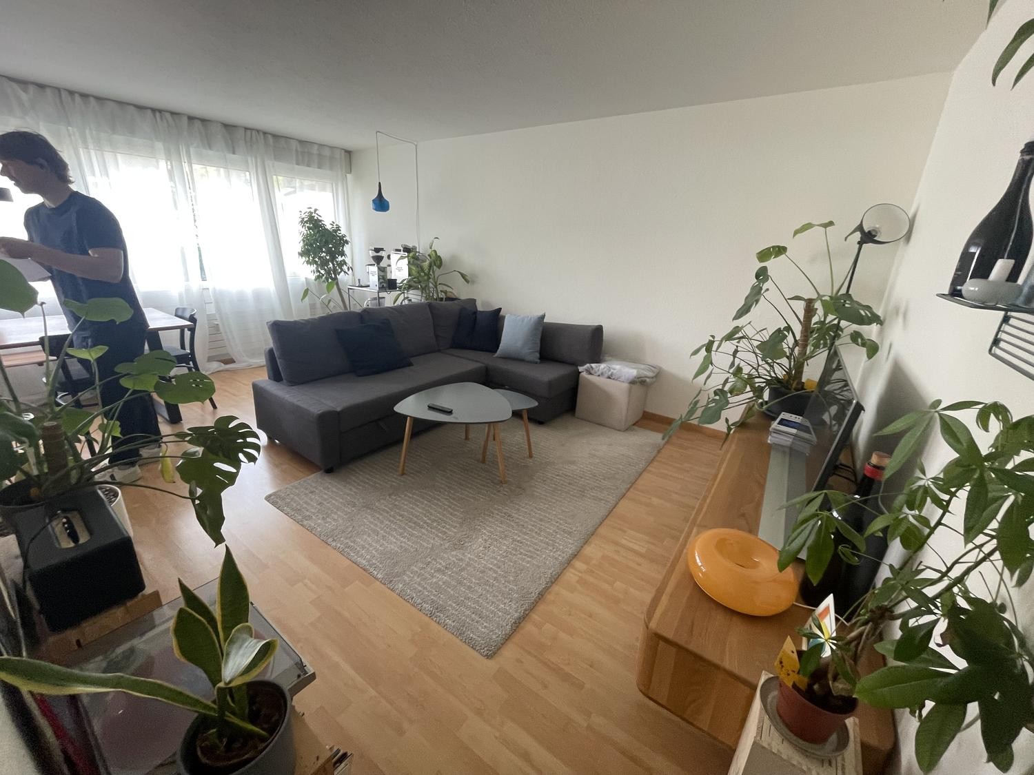 2 ½ rooms apartment, photo 2 of 7