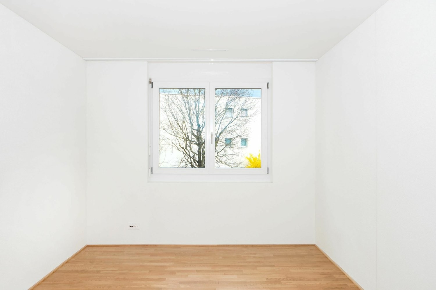 2 ½ pièces appartement