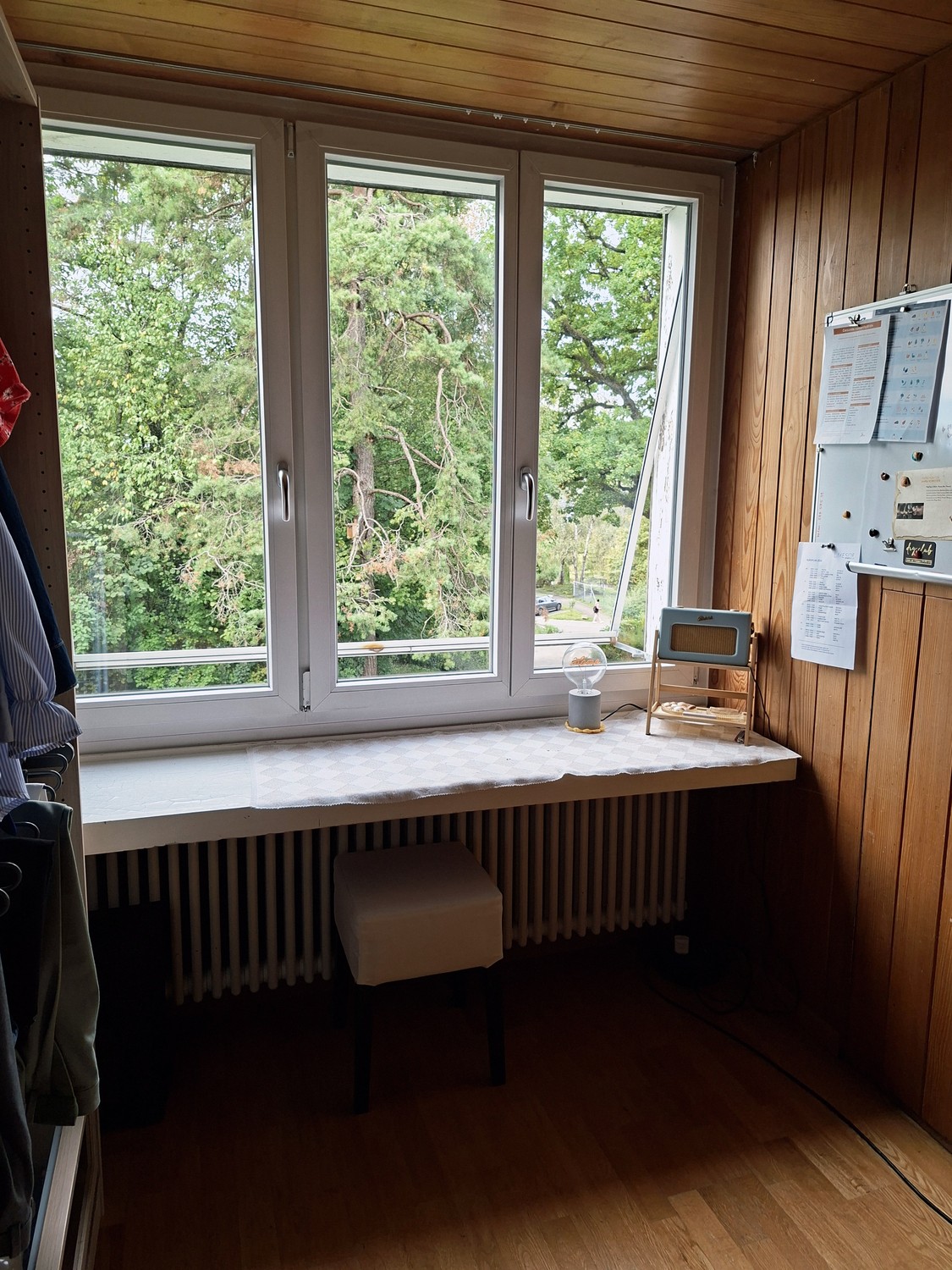 Room in a shared flat