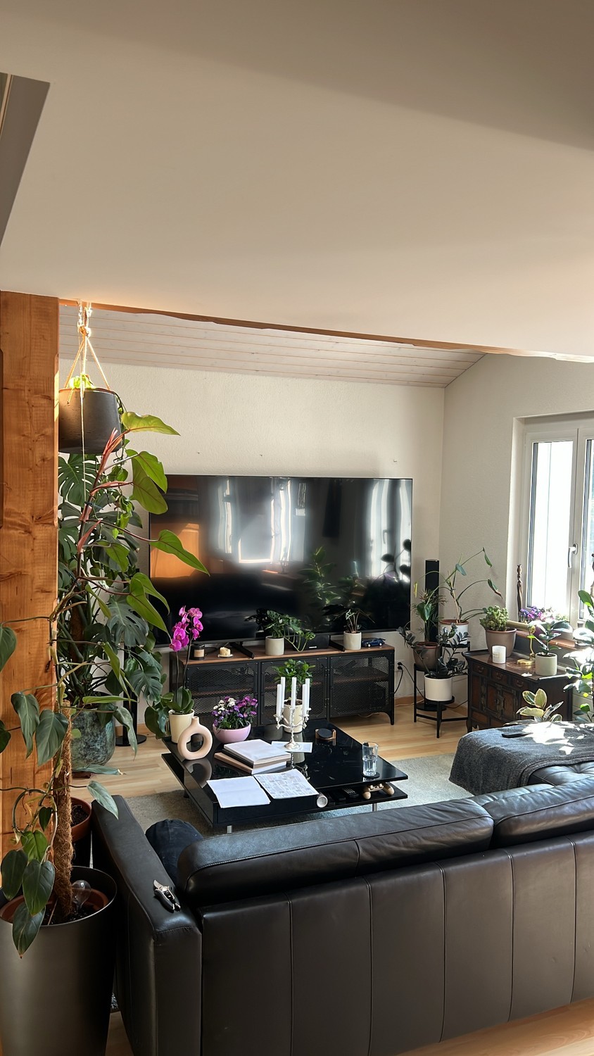 Appartamento di 3 ½ locali, foto 5 di 8