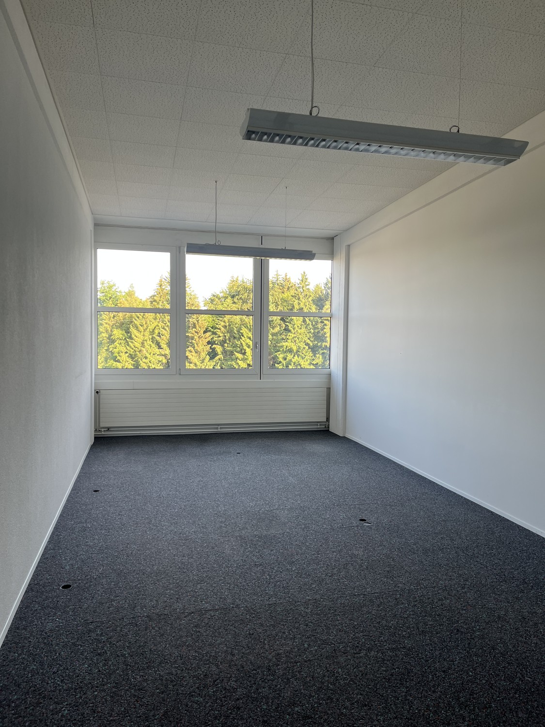 40m² commercial, photo 1 of 3