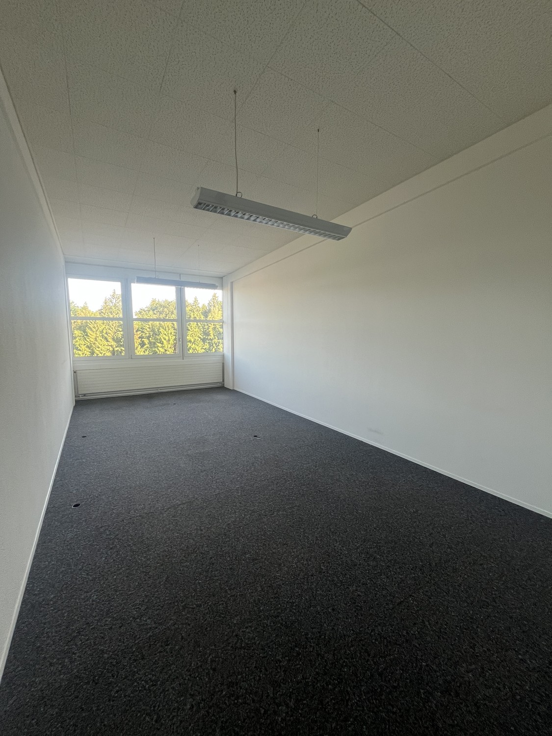 40m² commercial, photo 3 of 3