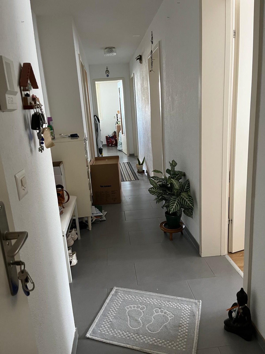 3 ½ pièces appartement