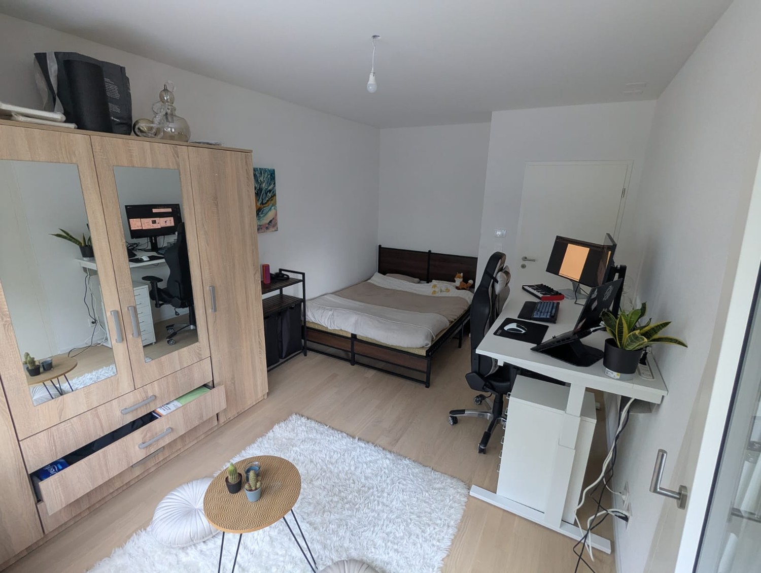 Room in a shared flat