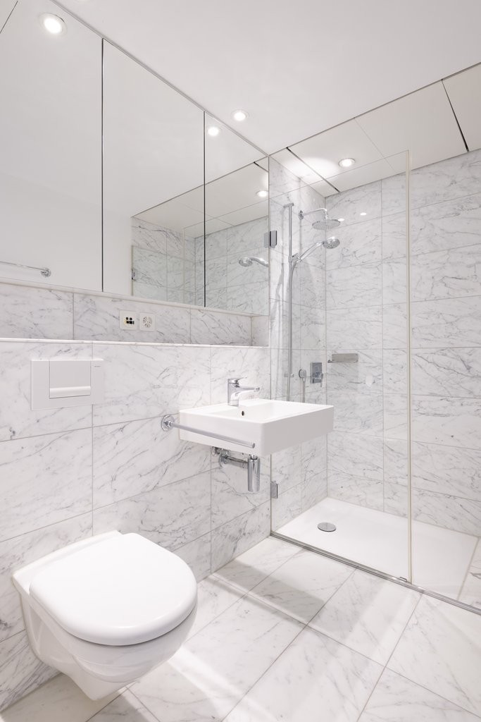 5 ¾ pièces appartement sous les combles