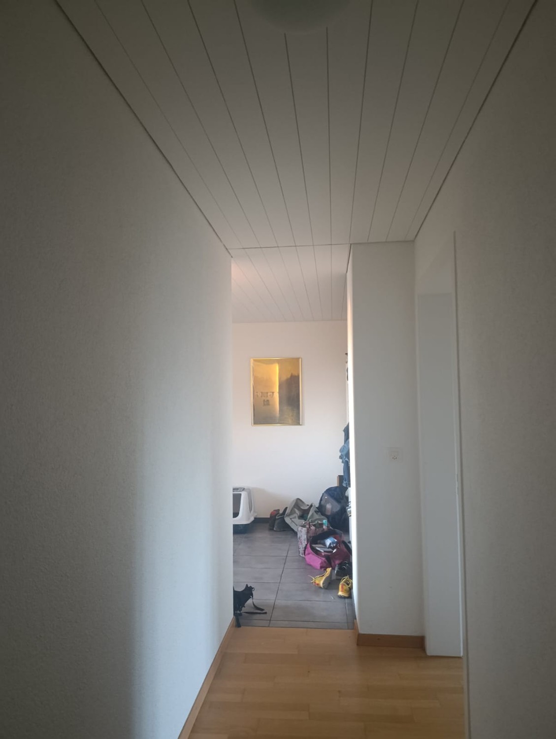 2 rooms apartment, photo 1 of 8