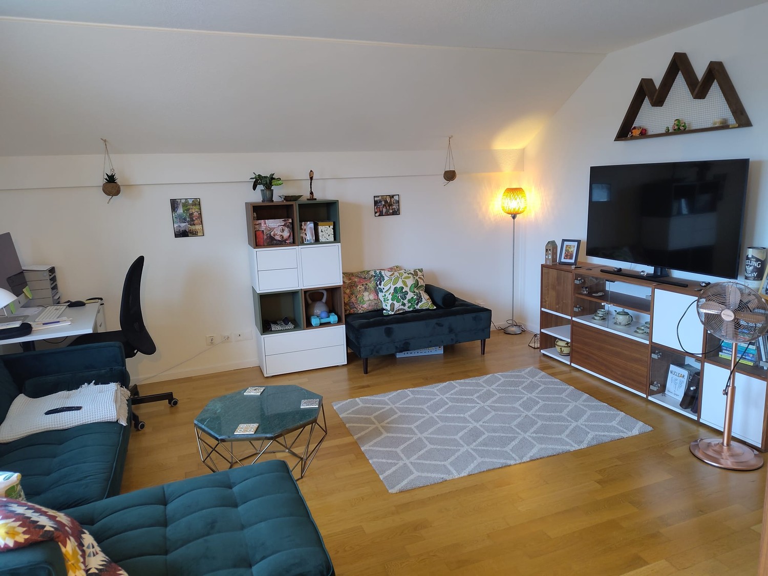 Appartement de 3 ½ pièces, photo 1 sur 6