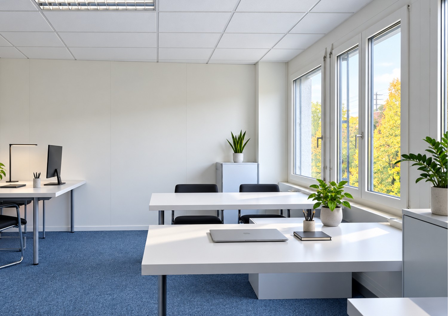 19m² office