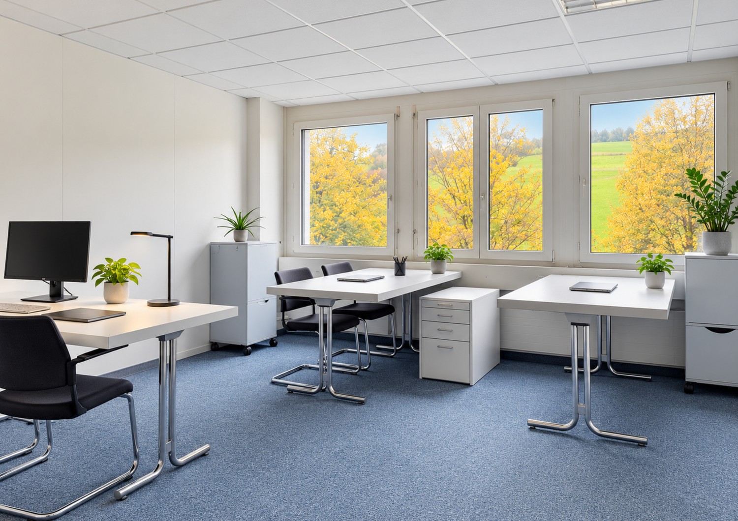 19m² office