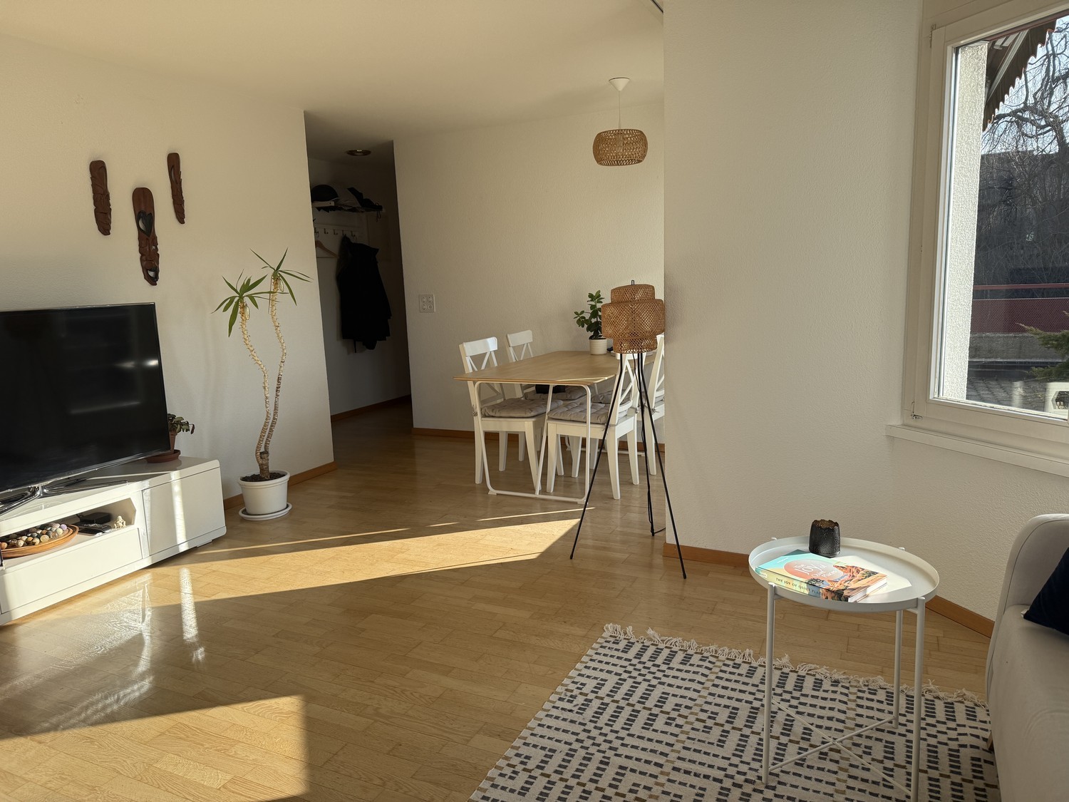 Appartement de 3 ½ pièces