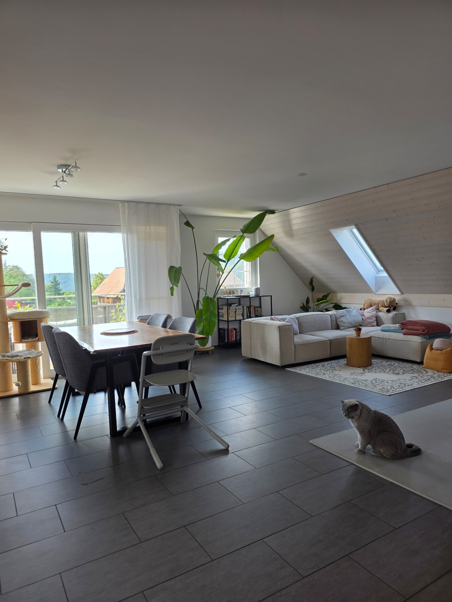 Attico di 4 ½ locali, foto 3 di 10