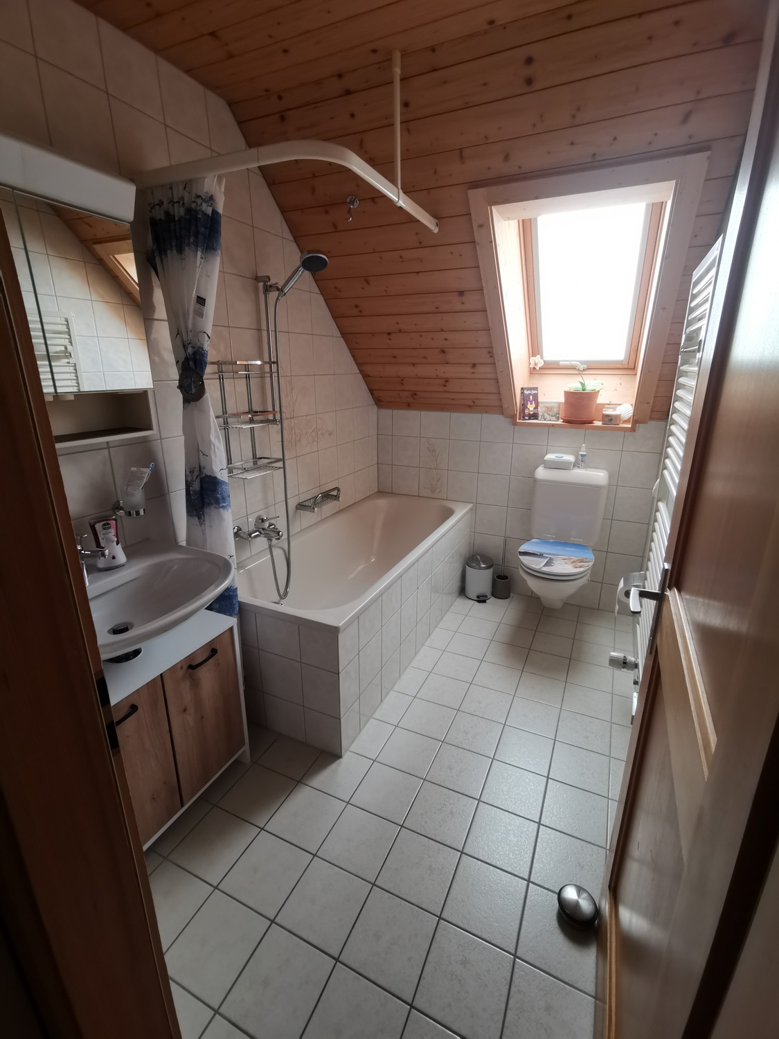 Room in a shared flat