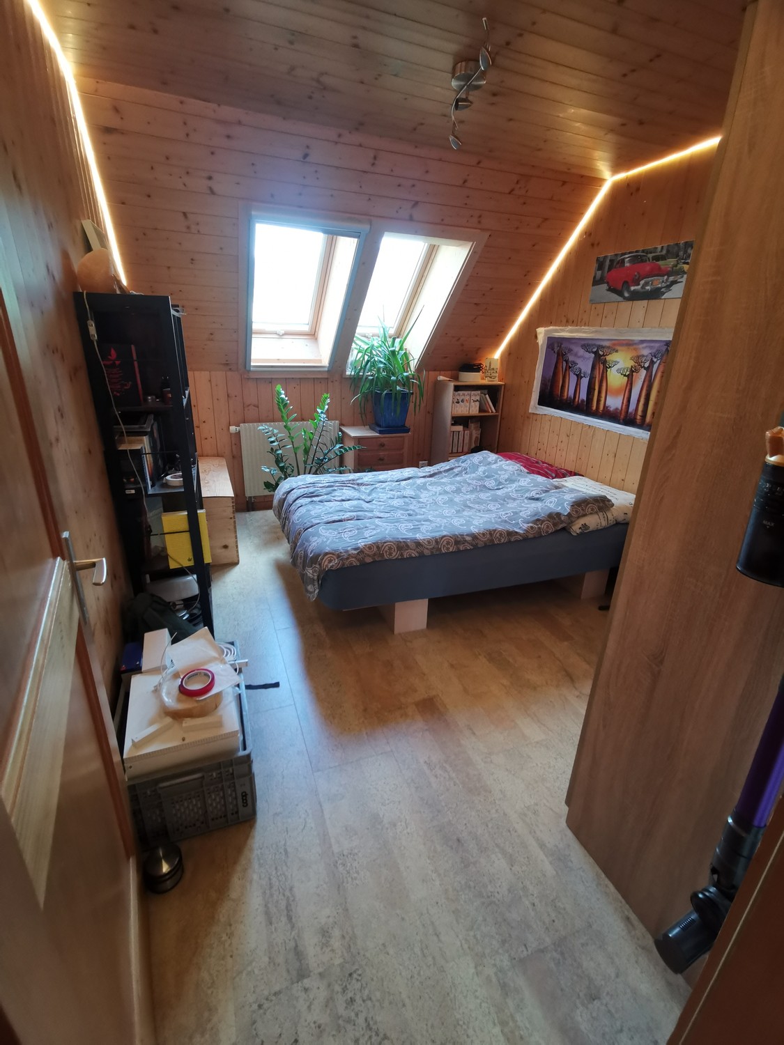 Room in a shared flat