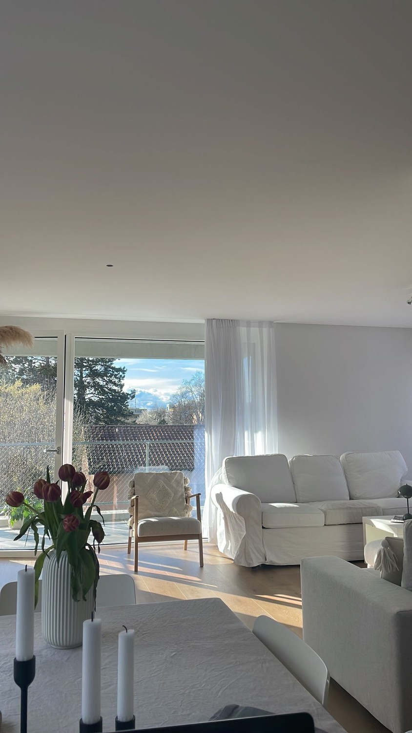 3 ½ Zimmer-Wohnung