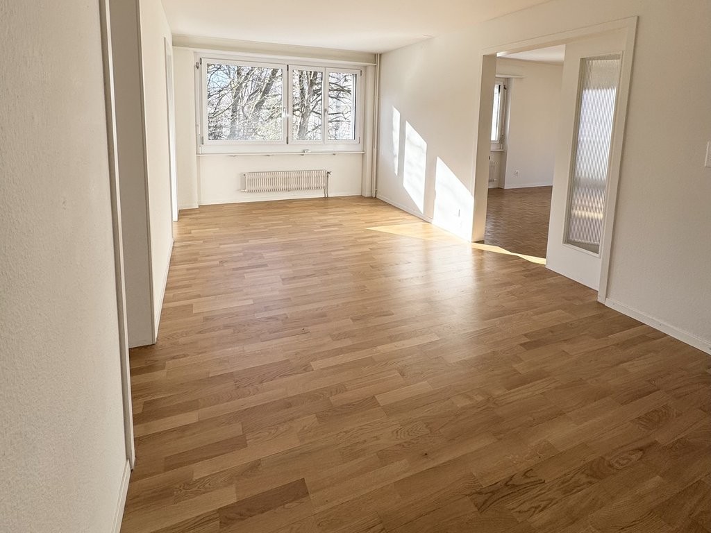 4 ½ rooms apartment (4)