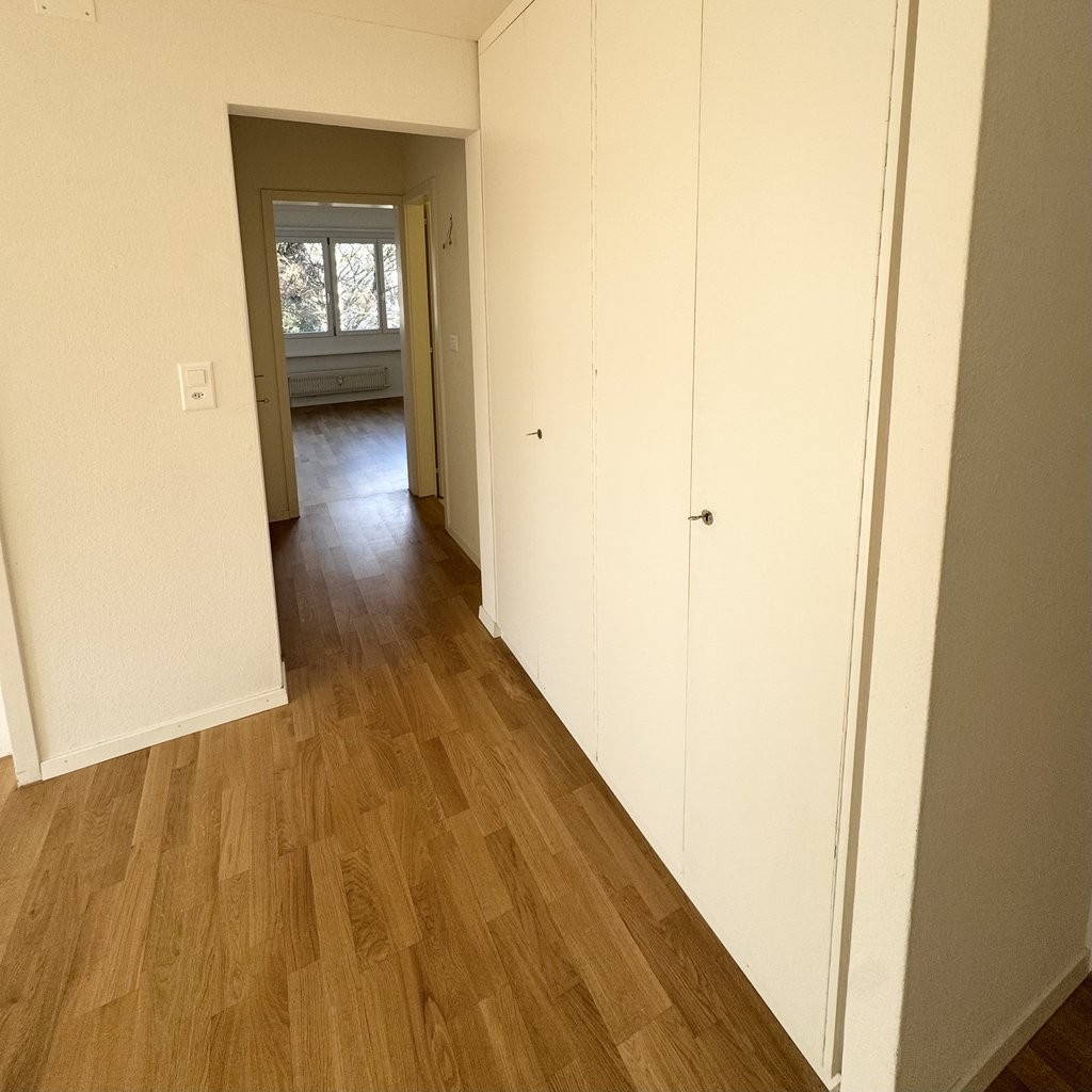 4 ½ rooms apartment (5)