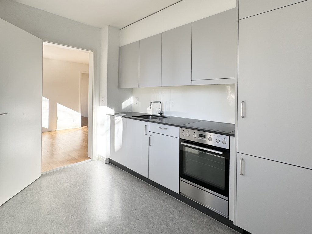 4 ½ rooms apartment (3)