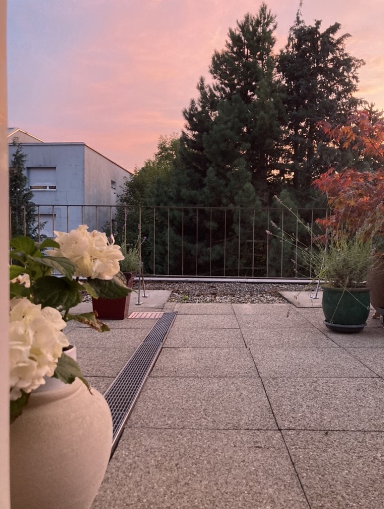 Appartement de 1 ½ pièces
