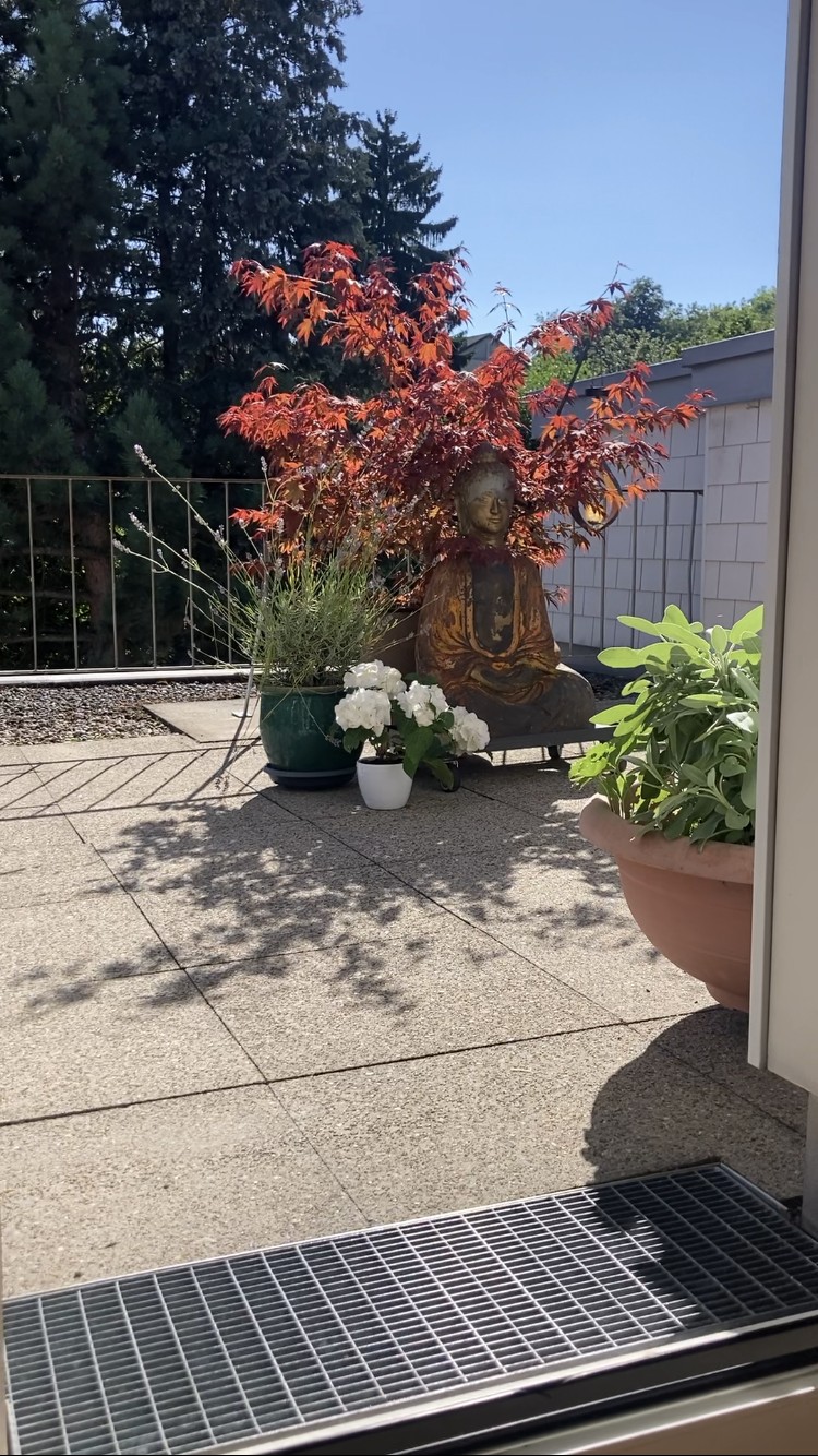 Appartement de 1 ½ pièces