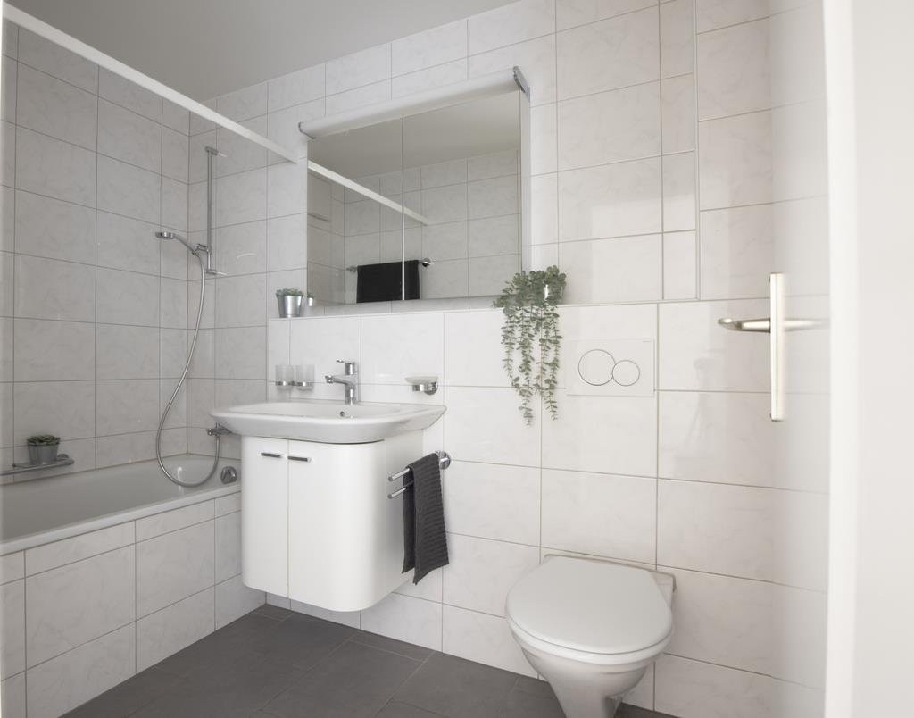 3 ½ rooms apartment, photo 8 of 8