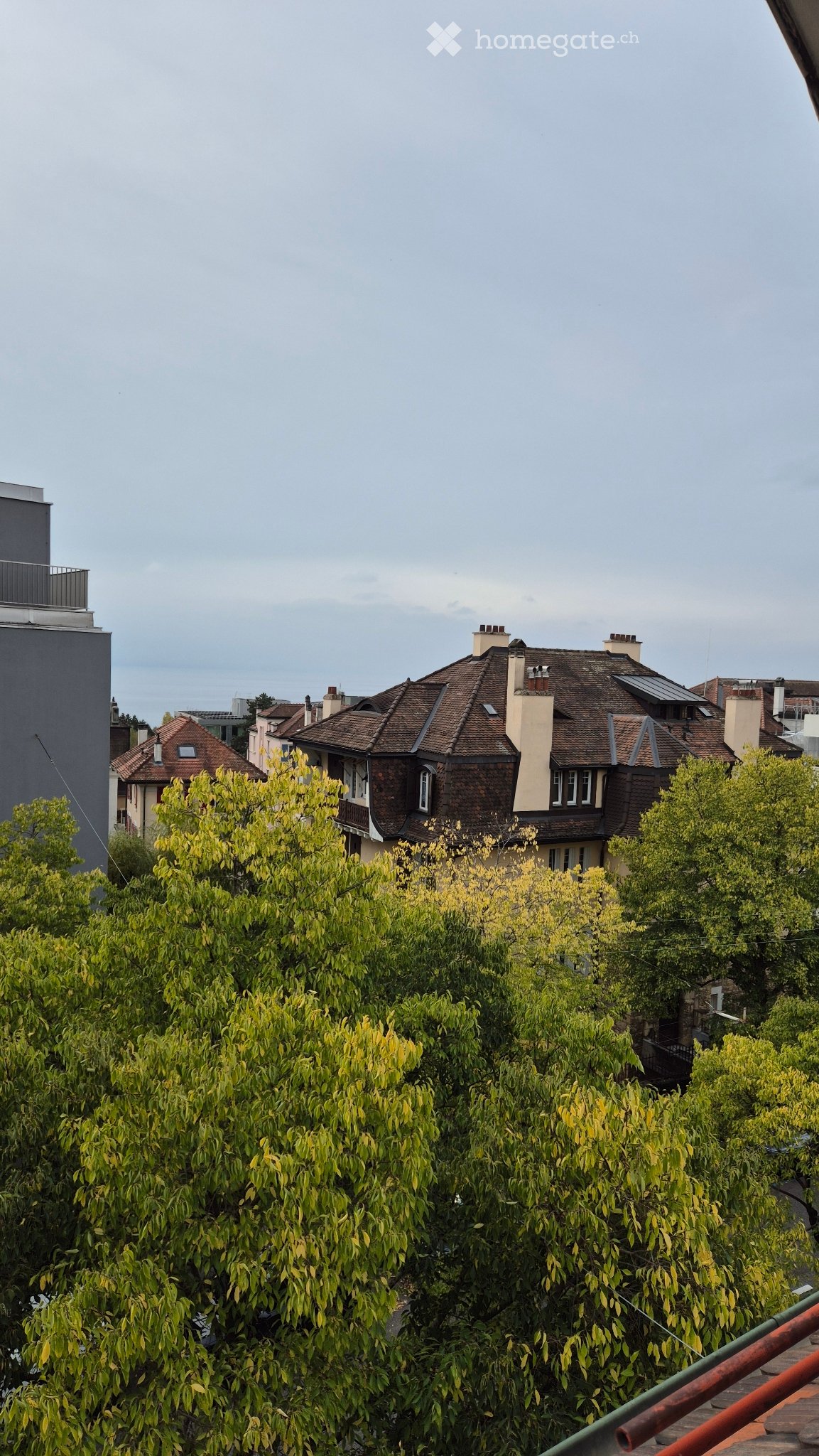 2 ½ Zimmer Wohnung