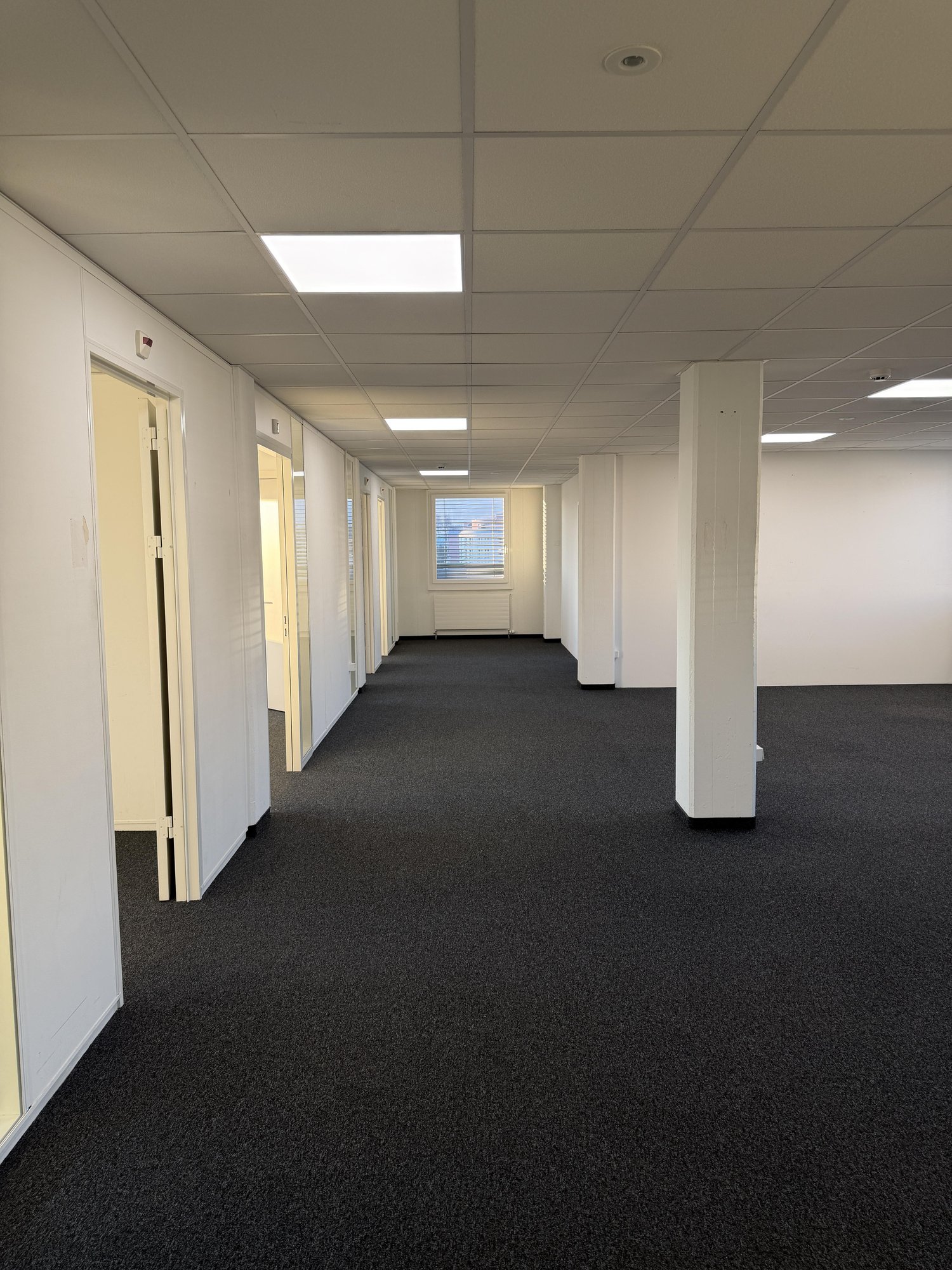236m² ufficio