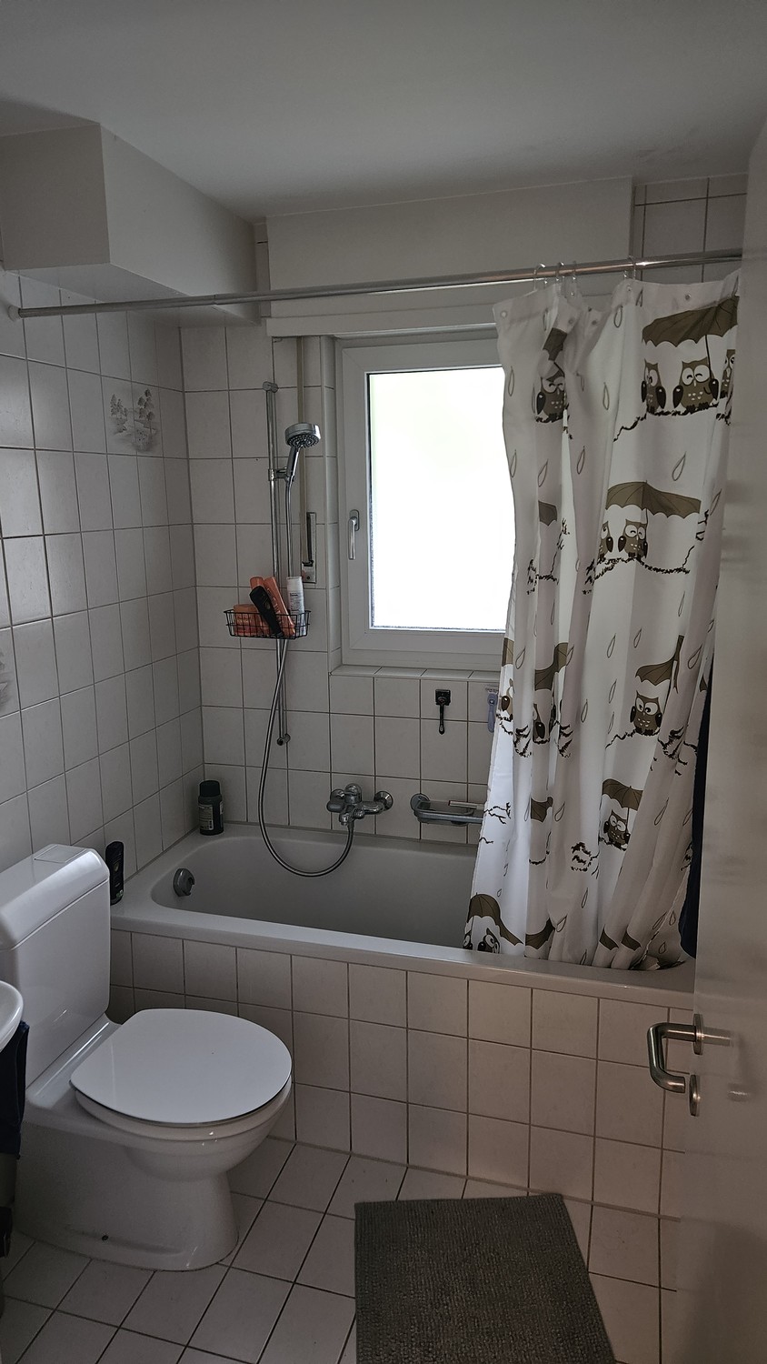 2 ½ rooms apartment, photo 3 of 7