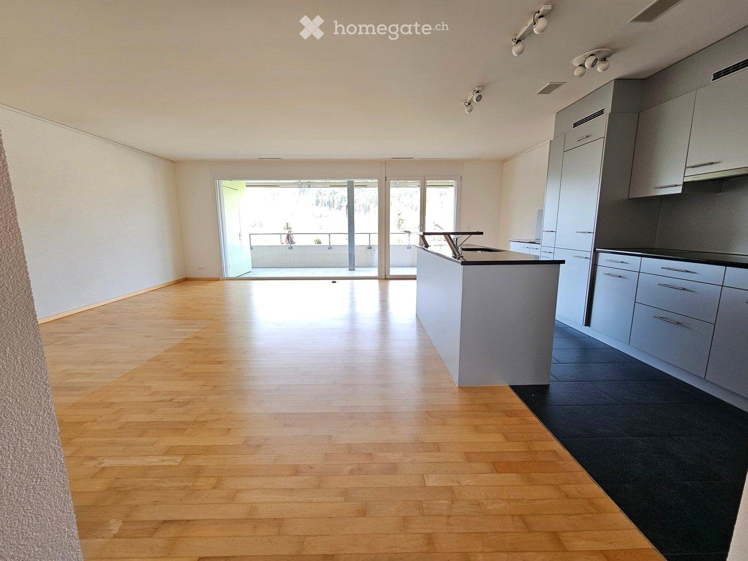 Appartamento di 3 ½ locali (4)