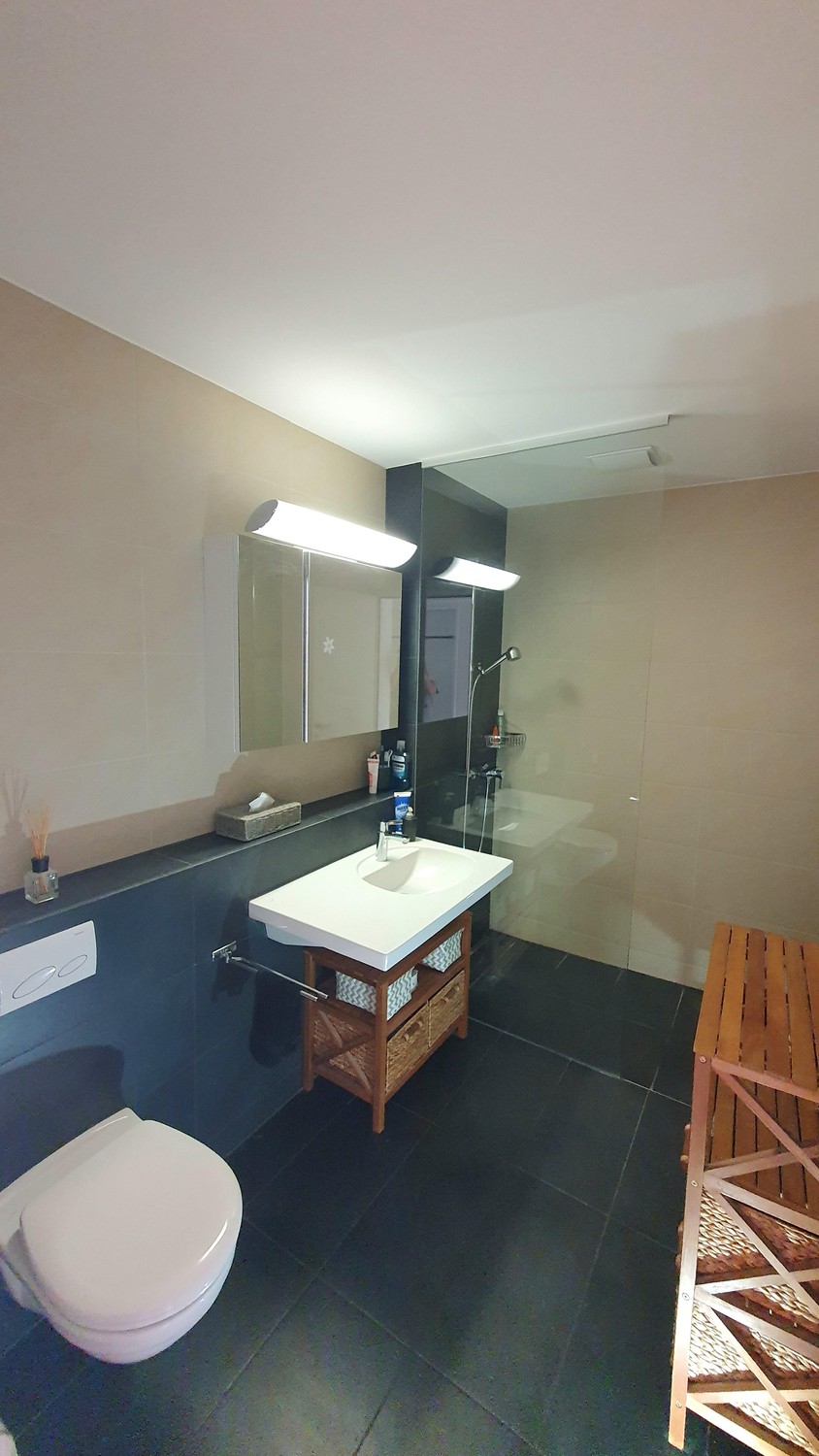 Appartement de 3 ½ pièces