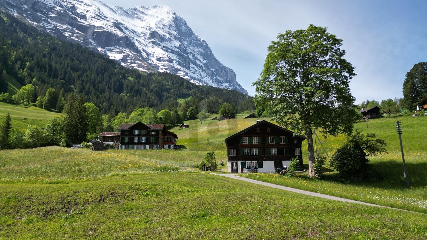 7 ¾ pièces maison individuelle