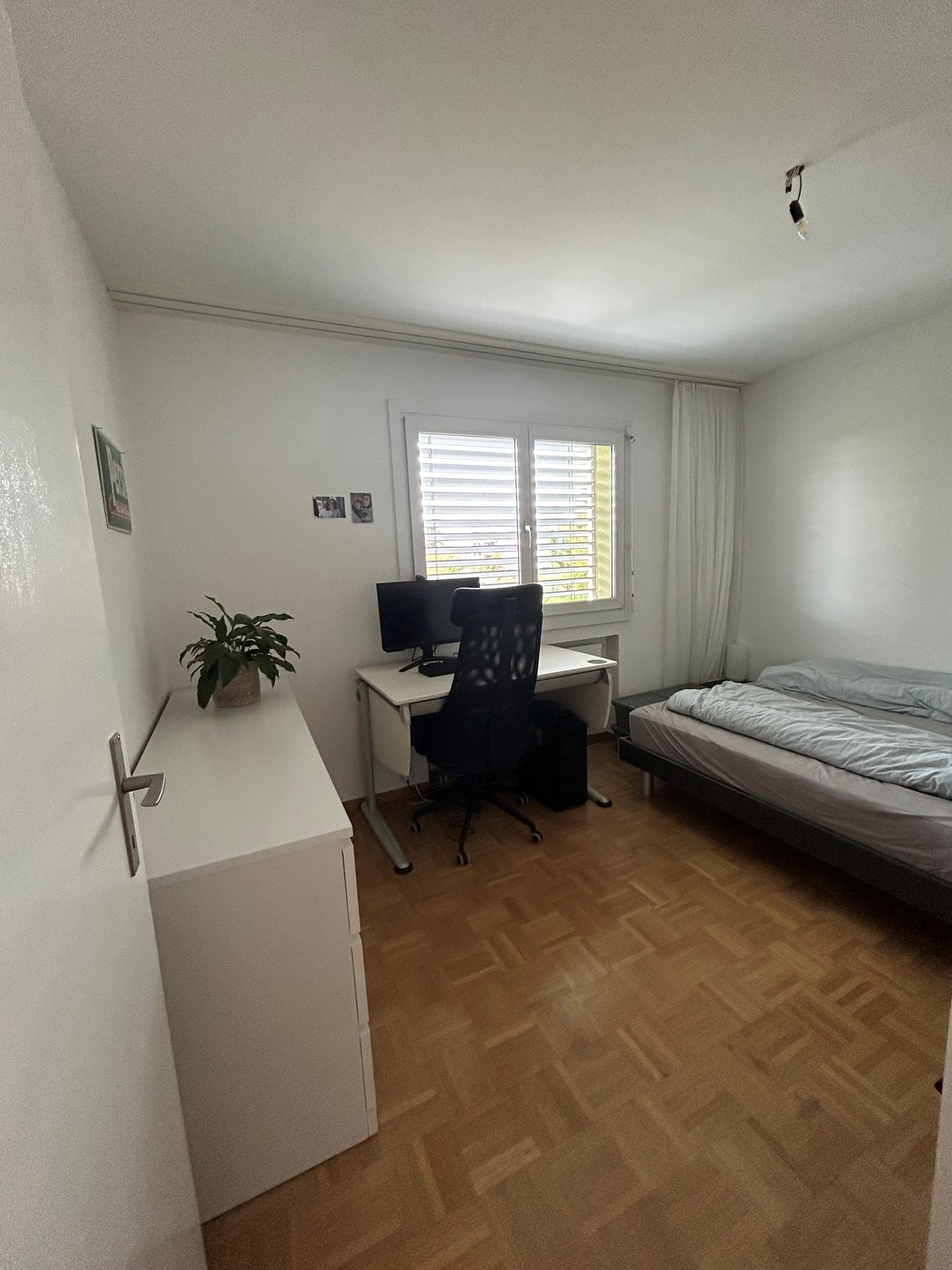 Room in a shared flat
