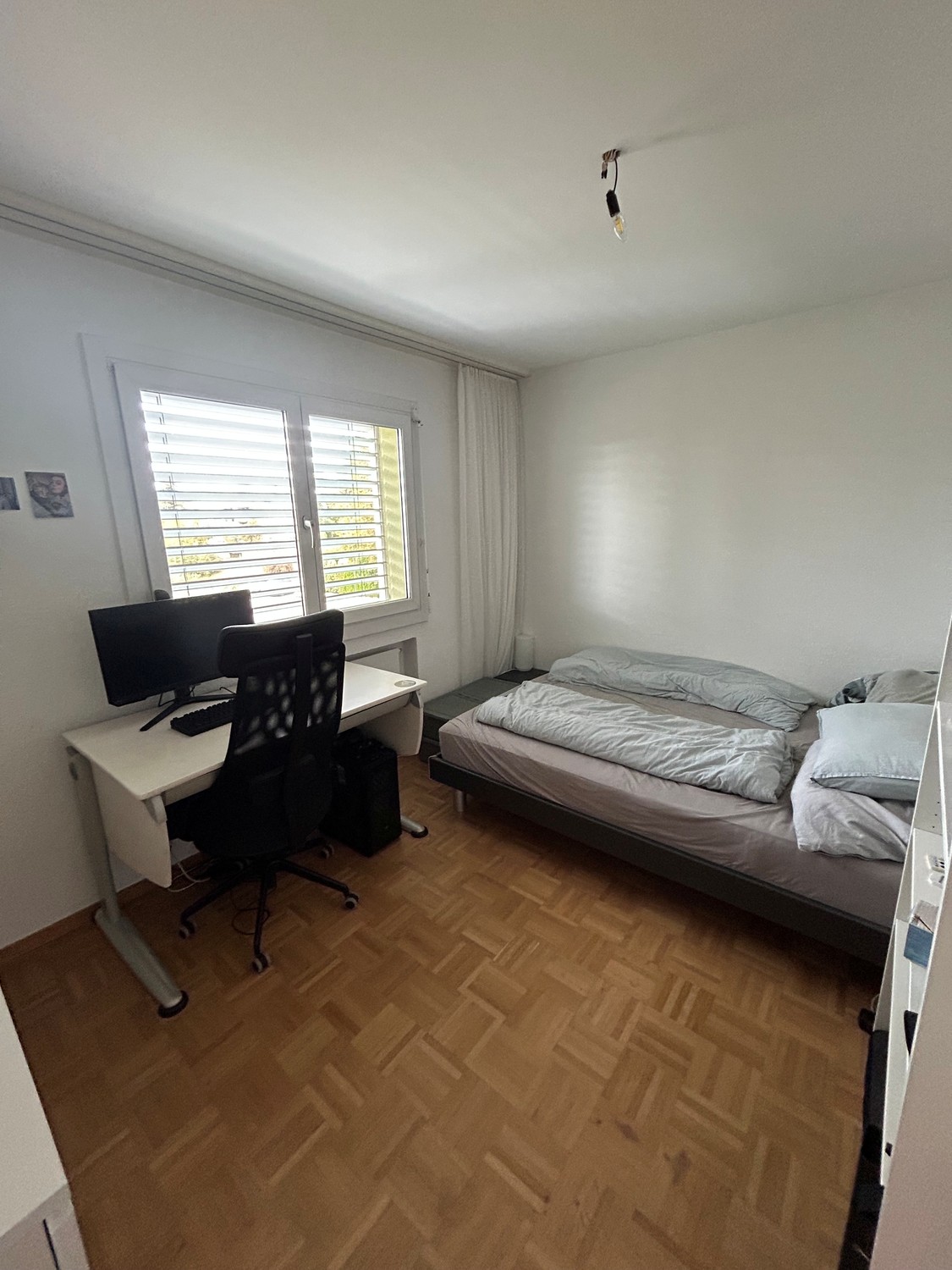 Room in a shared flat