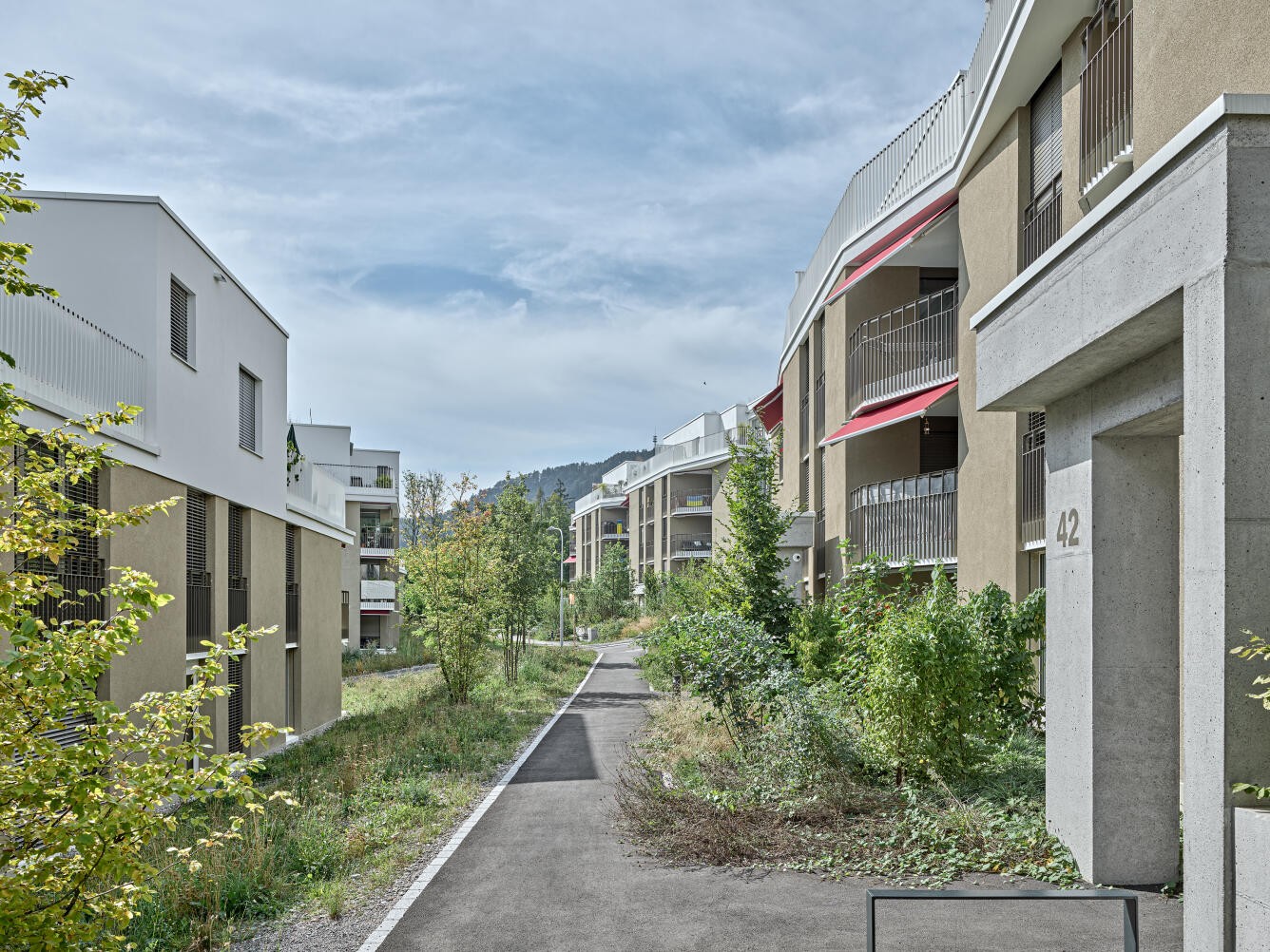 2 ½ Zimmer-Wohnung