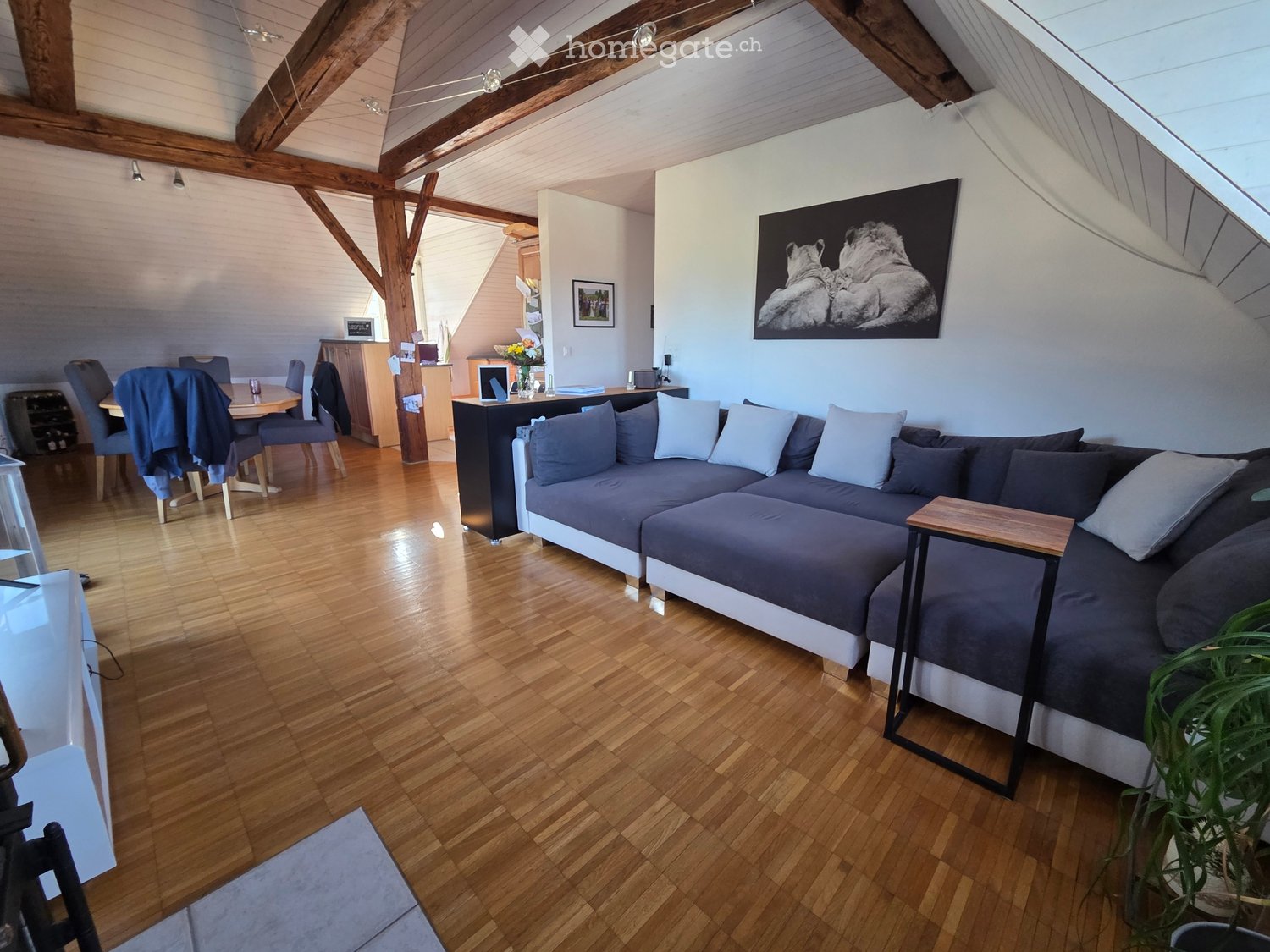 4 ½ rooms apartment