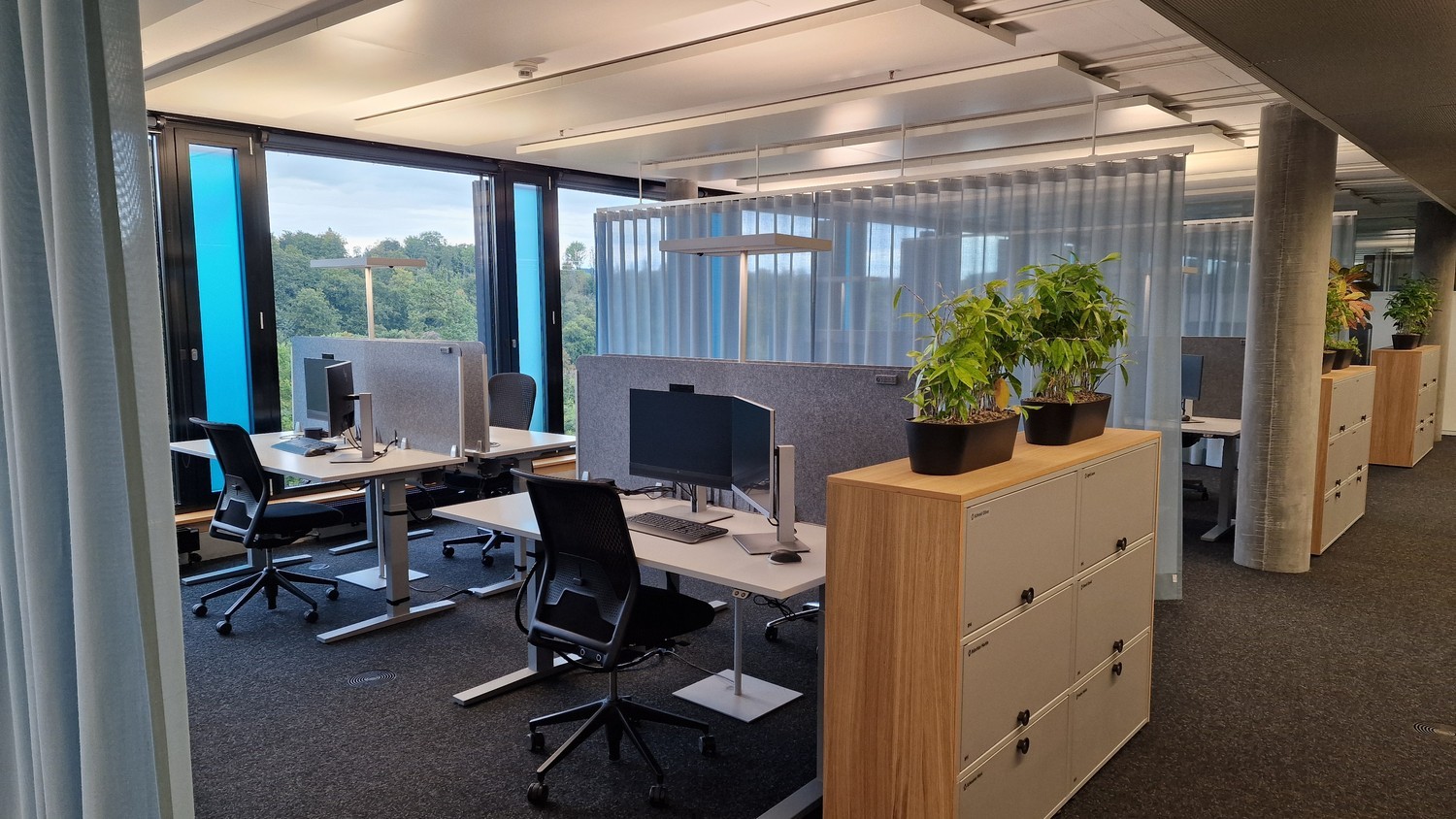 600m² office, photo 5 of 10