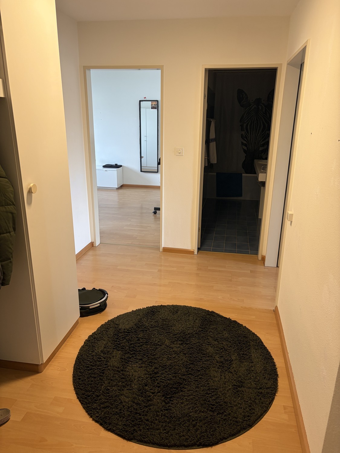 Appartamento di 3 ½ locali