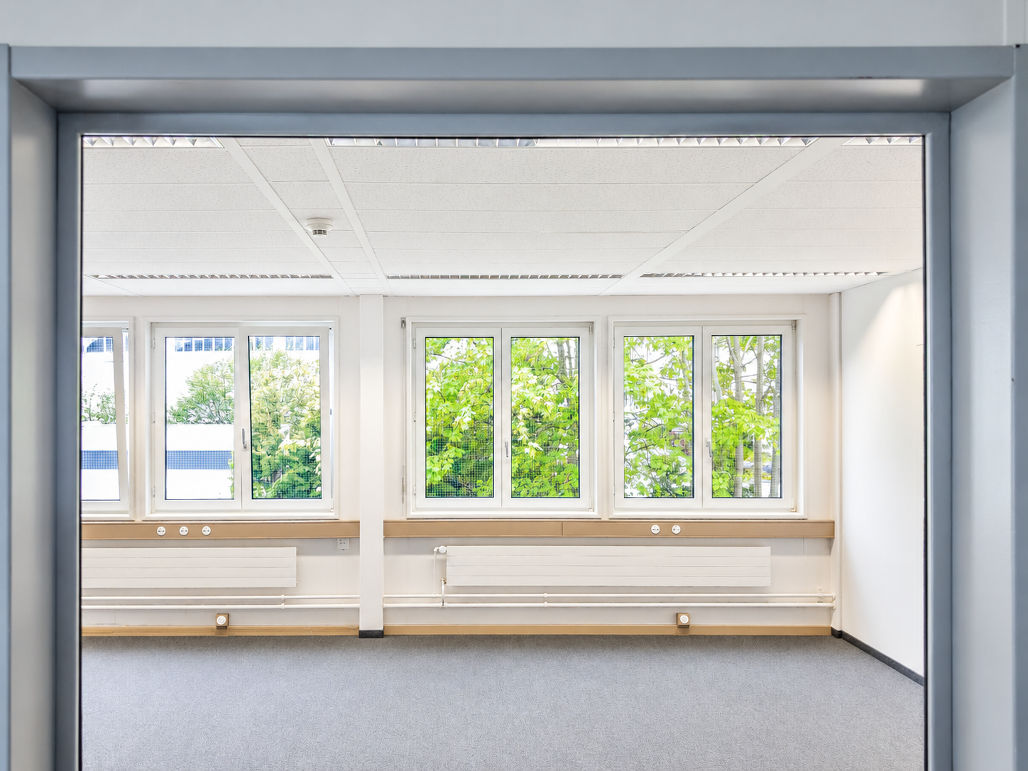 64m² office, photo 3 of 6