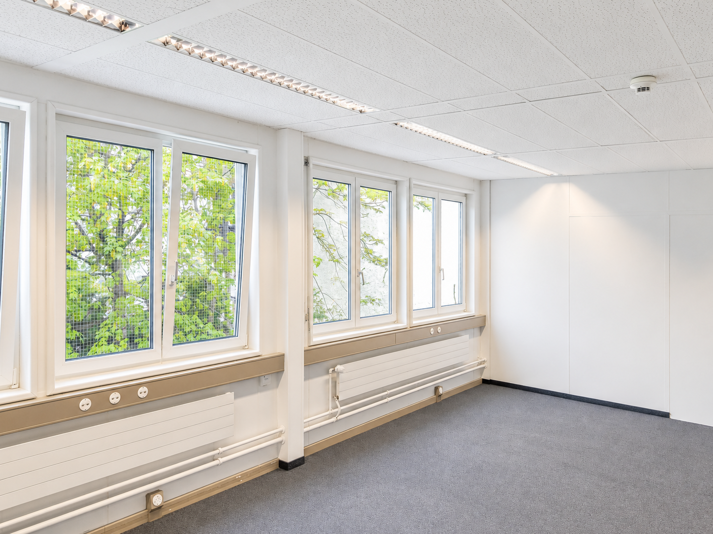 64m² office, photo 2 of 6