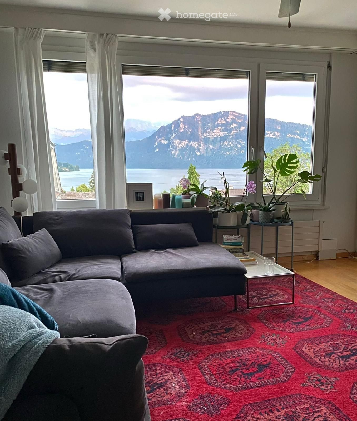 1 room single room