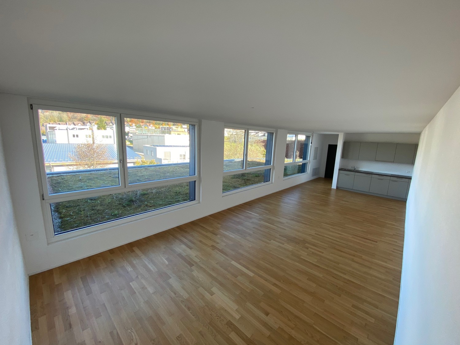 Appartement 1 ½ pièces