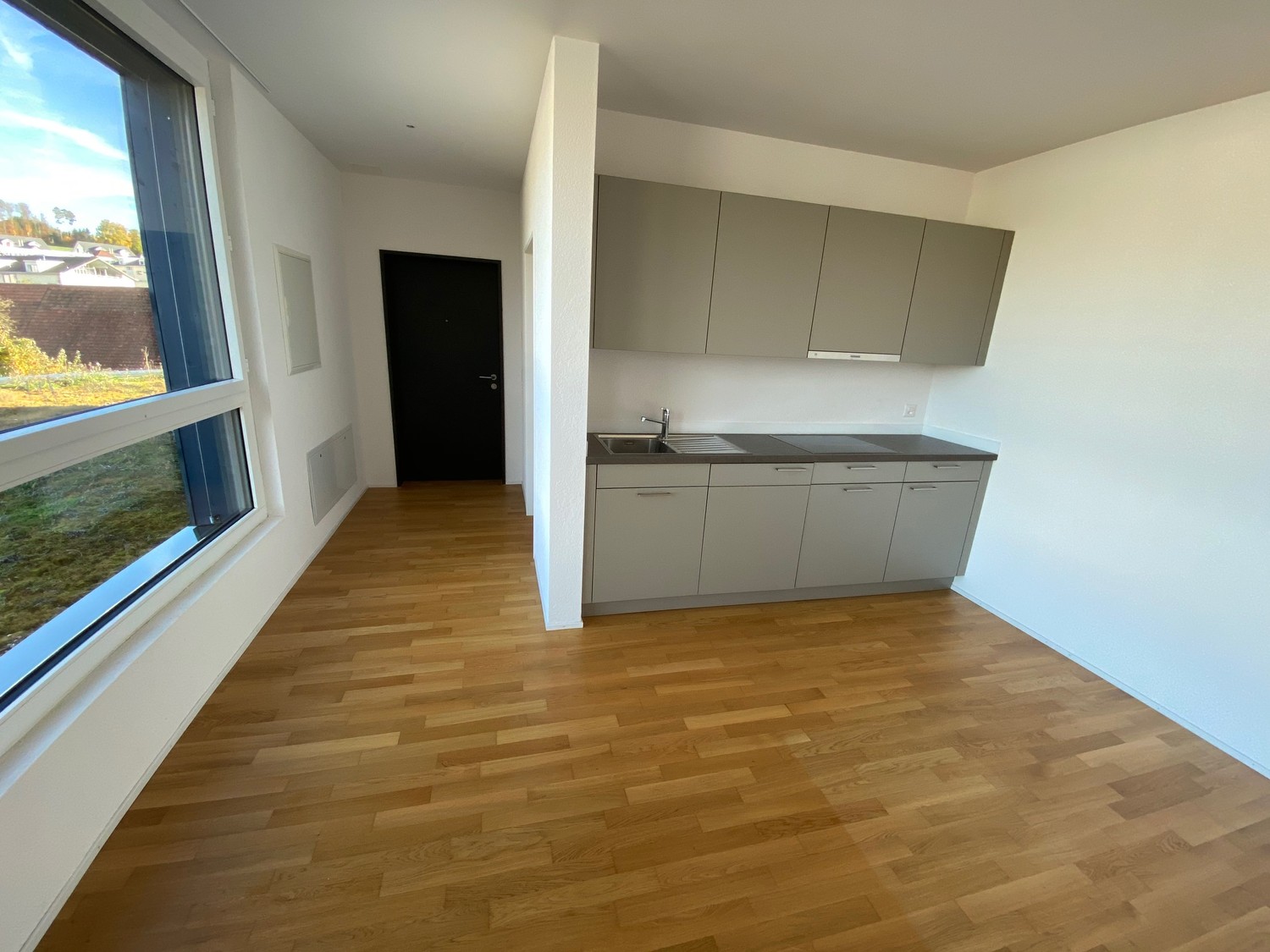Appartement 1 ½ pièces