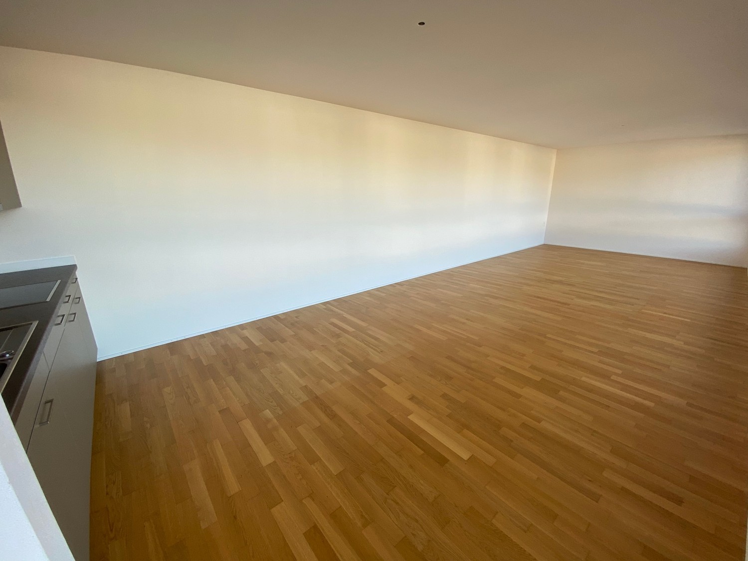 Appartement 1 ½ pièces